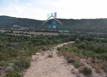 Terreno - Terreno agricolo Aglientu - foto 40