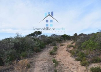 Terreno - Terreno agricolo Aglientu - foto 42