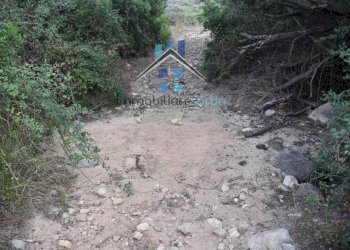 Terreno - Terreno agricolo Aglientu - foto 43