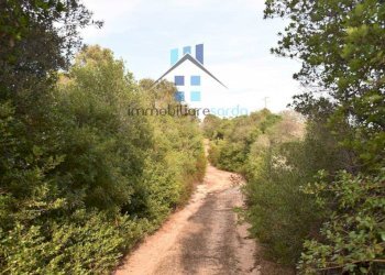 Terreno - Terreno agricolo Aglientu - foto 44