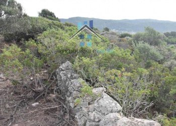 Terreno - Terreno agricolo Aglientu - foto 45