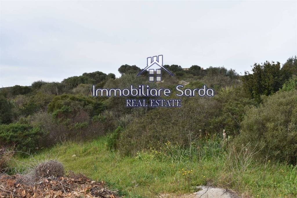 Terreno - Terreno edificabile Statale 133bis di Palau, Santa Teresa Gallura - foto 3