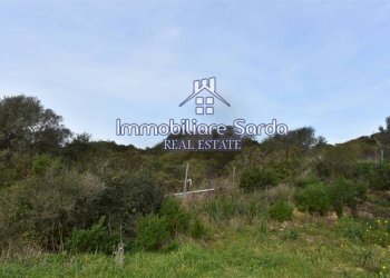 Terreno - Terreno edificabile Statale 133bis di Palau, Santa Teresa Gallura - foto 2