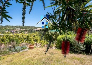 Terreno - Appartamento Arzachena - foto 6