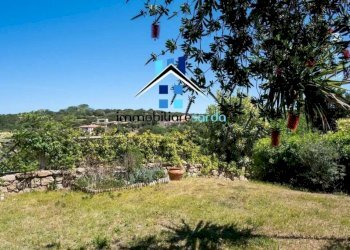 Terreno - Appartamento Arzachena - foto 16