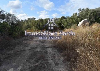 Terreno - Terreno agricolo Arzachena - foto 2