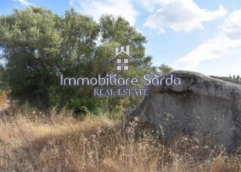 Terreno - Terreno agricolo Arzachena - foto 3