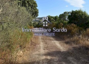 Terreno - Terreno agricolo Arzachena - foto 4