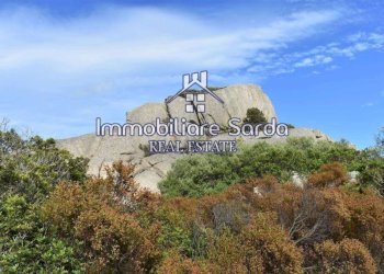 Terreno - Terreno agricolo Arzachena - foto 5