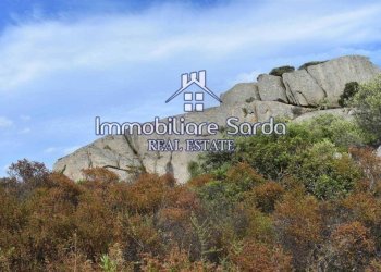 Terreno - Terreno agricolo Arzachena - foto 6