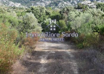 Terreno - Terreno agricolo Arzachena - foto 7
