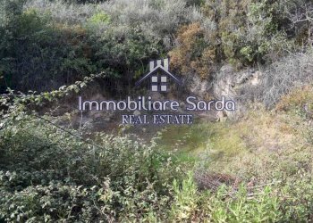 Terreno - Terreno agricolo Arzachena - foto 10