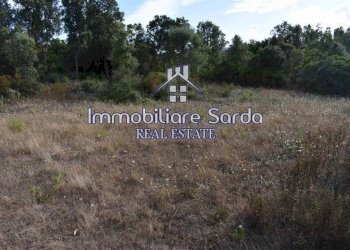 Terreno - Terreno agricolo Arzachena - foto 11