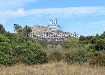 Terreno - Terreno agricolo Arzachena - foto 12