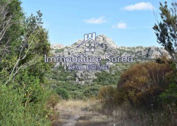 Terreno - Terreno agricolo Arzachena - foto 13