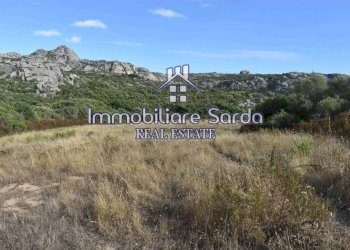 Terreno - Terreno agricolo Arzachena - foto 14