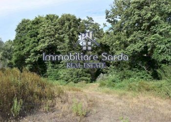 Terreno - Terreno agricolo Arzachena - foto 16