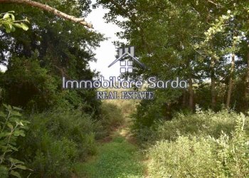 Terreno - Terreno agricolo Arzachena - foto 17