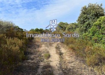 Terreno - Terreno agricolo Arzachena - foto 20