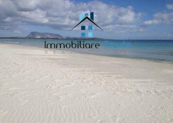 Zona - Trilocale San Teodoro - foto 12