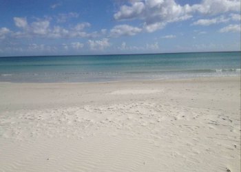 Zona - Trilocale San Teodoro - foto 13