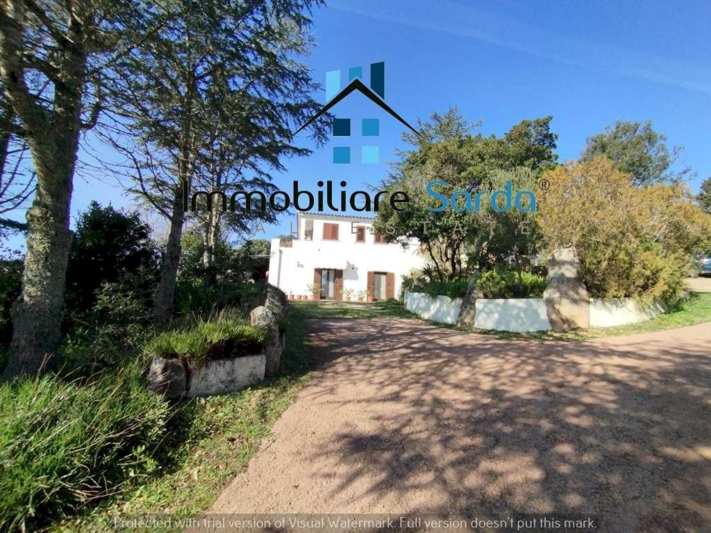 Giardino - Rustico Statale 133 di Palau, 44-52, Tempio Pausania - foto 1