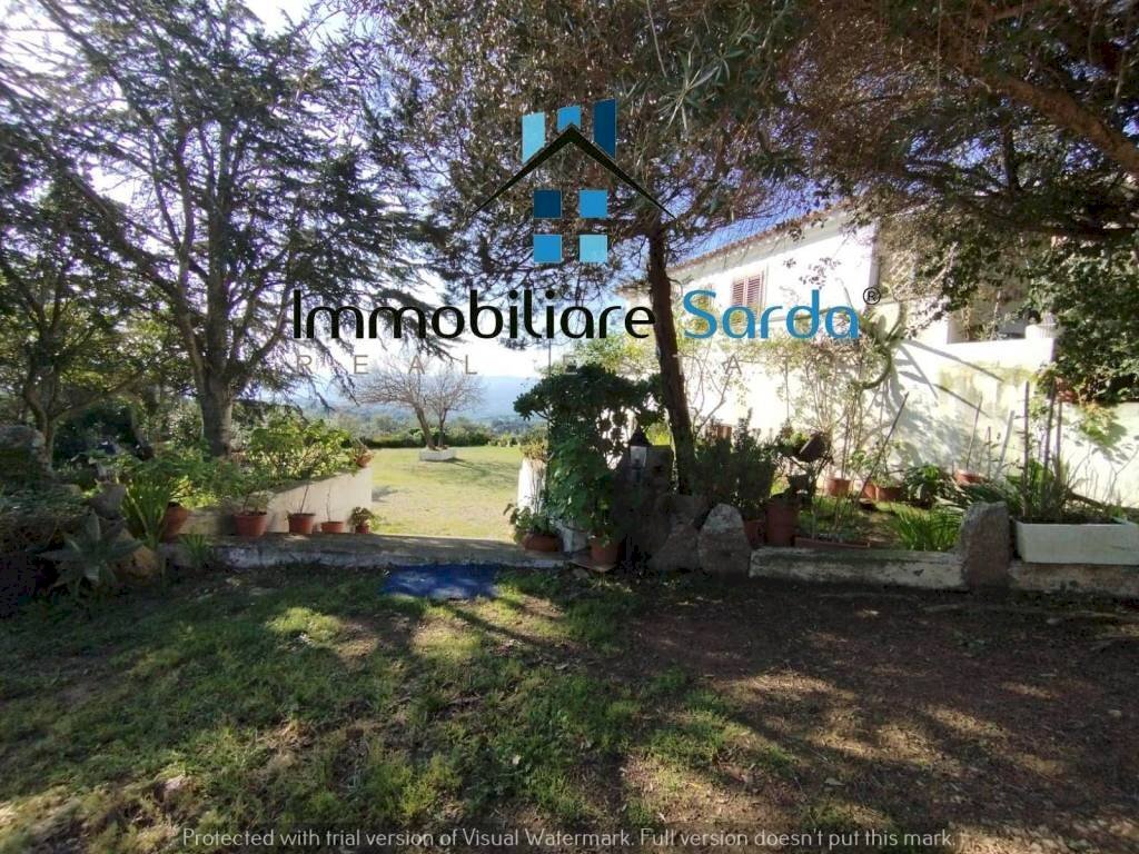 Giardino - Rustico Statale 133 di Palau, 44-52, Tempio Pausania - foto 2