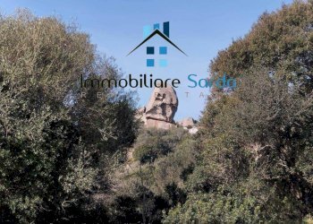 Terreno - Rustico Statale 133 di Palau, 44-52, Tempio Pausania - foto 7