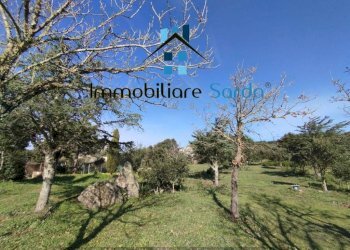 Terreno - Rustic Statale 133 di Palau, 44-52, Tempio Pausania - photo 8