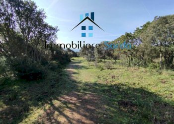 Terreno - Rustico Statale 133 di Palau, 44-52, Tempio Pausania - foto 9