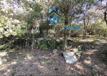 Terreno - Rustico Statale 133 di Palau, 44-52, Tempio Pausania - foto 10