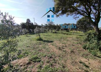 Terreno - Rustico Statale 133 di Palau, 44-52, Tempio Pausania - foto 12