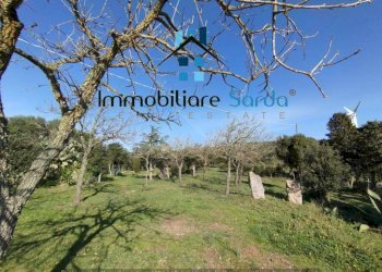 Terreno - Rustic Statale 133 di Palau, 44-52, Tempio Pausania - photo 13