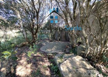 Terreno - Rustico Statale 133 di Palau, 44-52, Tempio Pausania - foto 14