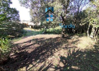 Terreno - Rustico Statale 133 di Palau, 44-52, Tempio Pausania - foto 16