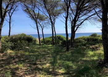 Terreno - Villa Matta e Peru 2, Budoni - foto 21