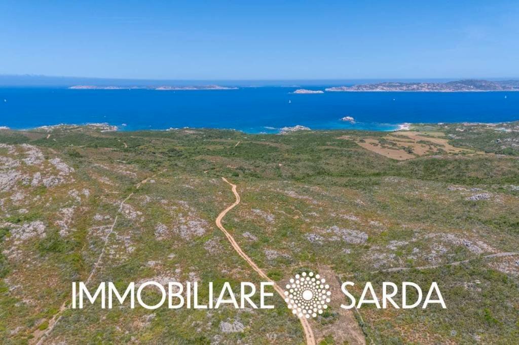 Zona - Terreno agricolo strada statale 133 bis, Santa Teresa Gallura - foto 3