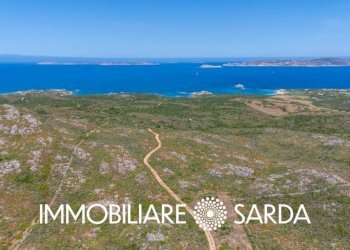 Zona - Terreno agricolo strada statale 133 bis, Santa Teresa Gallura - foto 3