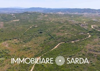 Terreno - Terreno agricolo strada statale 133 bis, Santa Teresa Gallura - foto 4