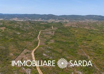 Terreno - Terreno agricolo strada statale 133 bis, Santa Teresa Gallura - foto 5