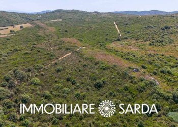 Terreno - Terreno agricolo strada statale 133 bis, Santa Teresa Gallura - foto 6