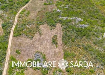 Terreno - Terreno agricolo strada statale 133 bis, Santa Teresa Gallura - foto 7