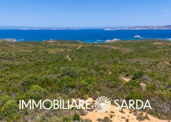 Zona - Terreno agricolo strada statale 133 bis, Santa Teresa Gallura - foto 10