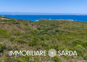 Zona - Terreno agricolo strada statale 133 bis, Santa Teresa Gallura - foto 11