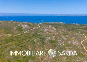 Vista - Terreno agricolo strada statale 133 bis, Santa Teresa Gallura - foto 14