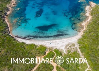 Terreno - Terreno agricolo strada statale 133 bis, Santa Teresa Gallura - foto 18