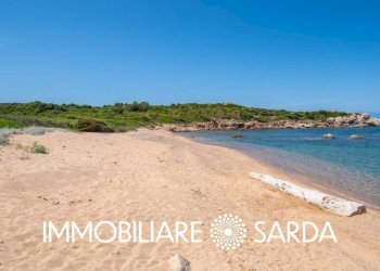 Zona - Terreno agricolo strada statale 133 bis, Santa Teresa Gallura - foto 19