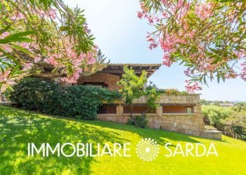 Giardino - Villa Loc. Punta Lada, Olbia - foto 46