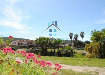 Terreno - Trilocale Palau - foto 4