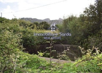 Terreno - Rustico Palau - foto 2